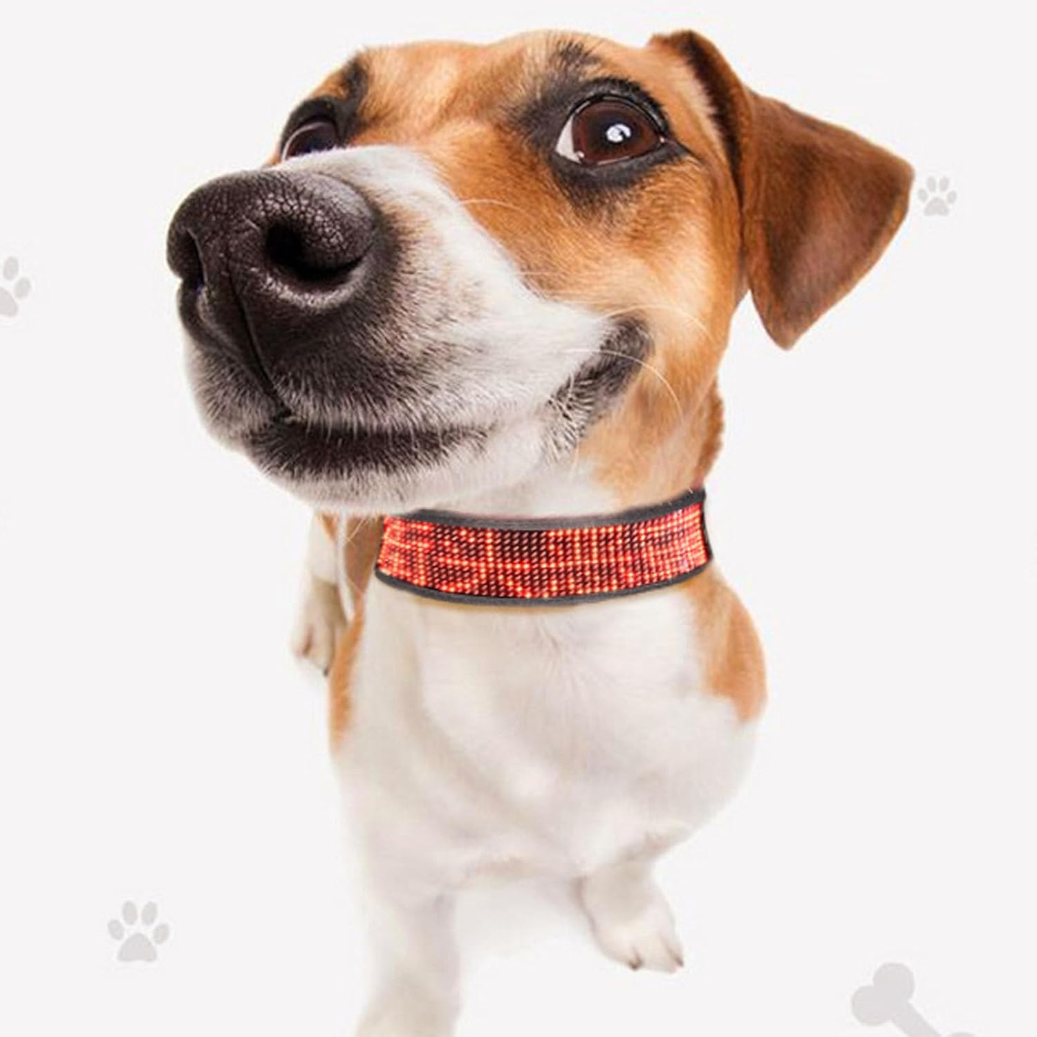 Programmable LED Collar with Connection, Rechargeable, Stylish Design, High V... - Picture 7 of 13