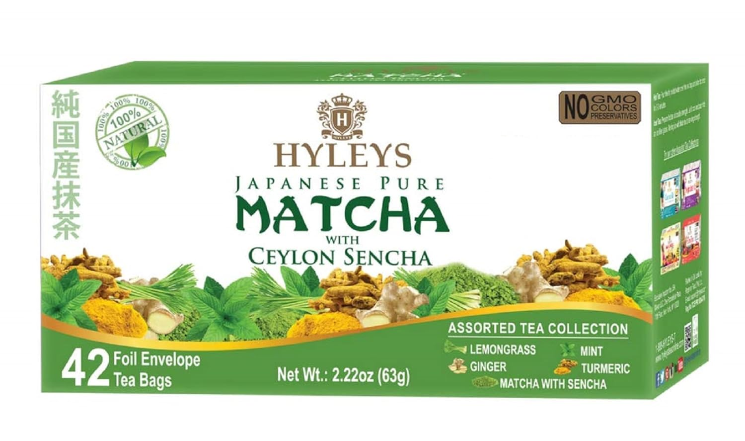 Hyleys Matcha Tea Bags Set of Assorted Flavors - 42 Tea Bags (Japanese Pure Matcha Wellness Green Tea)