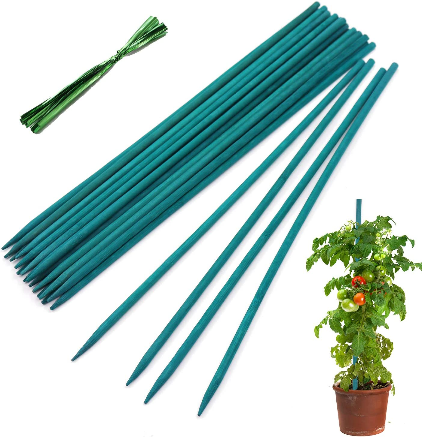 Garden Wood Plant Stakes Green Bamboo Sticks, Sturdy Floral Plant Support Stakes Wooden,Wooden Sign Posting Garden Sticks(25 Pack 18 Inches)