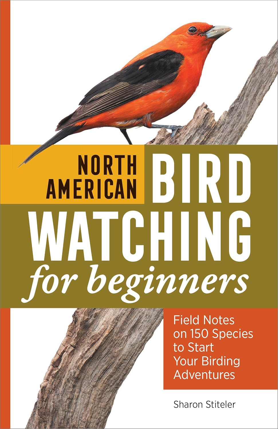 North American Bird Watching for Beginners: Field Notes on 150 Species to Start Your Birding Adventures (Bird Watching Adventures)