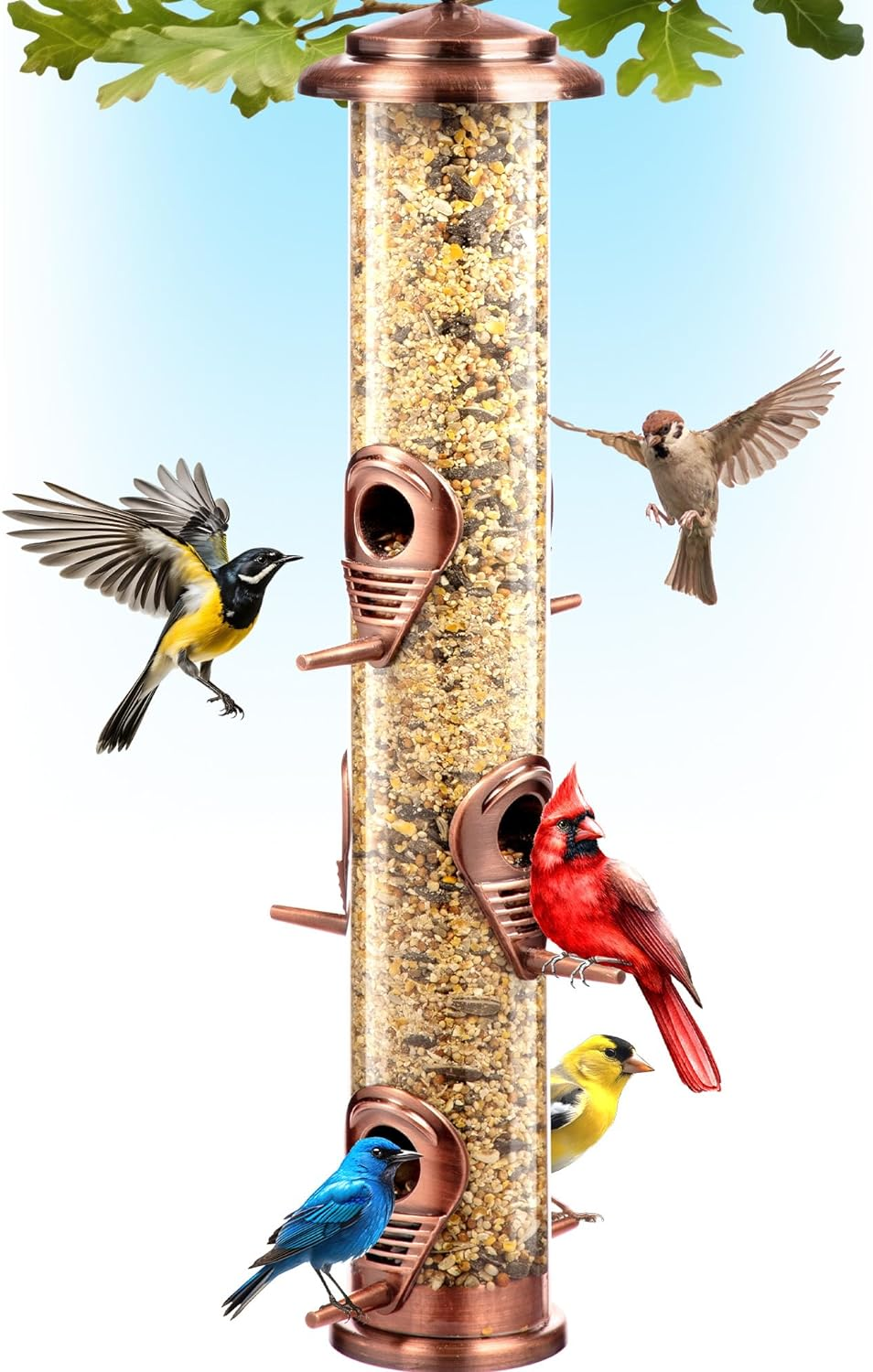 Buzzeap Metal Bird Feeder - 2.5lb Capacity Chew-Proof Feeder | Rust-Proof Outdoor Garden Decor
