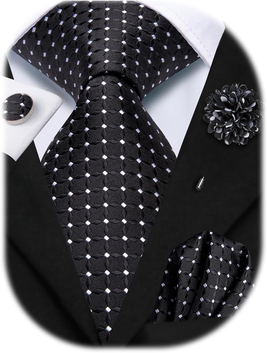 Mens Paisley Floral Striped Ties Set Silk Necktie and Lapel Pin for Men Pocket Square Cufflinks Set Business Wedding
