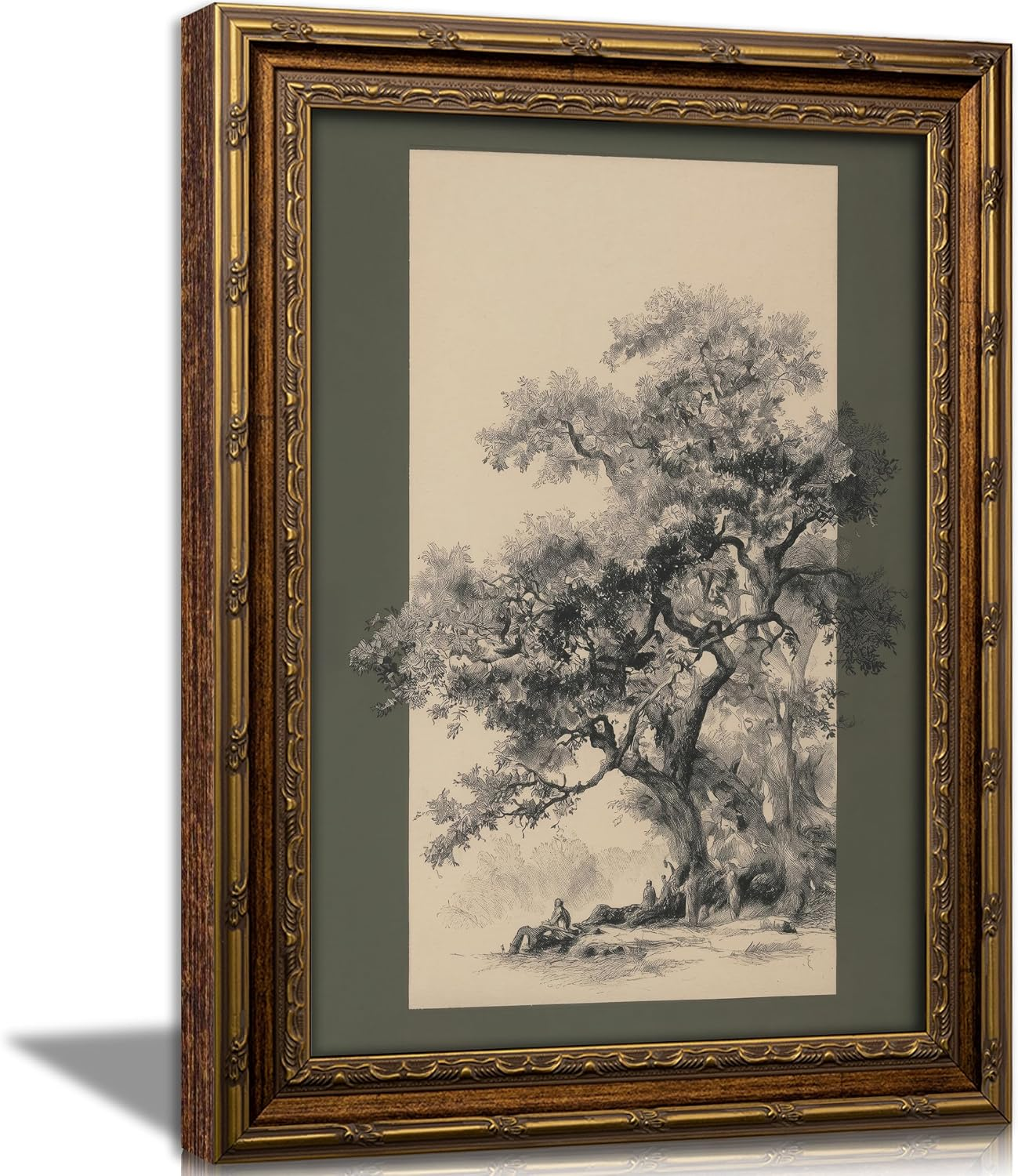 Vintage Tree Sketch Print Ornate Gold Framed Landscape Wall Art Antique Drawing Canvas Art Classic Sage Green Background Oak Tree Picture Artwork for Living Room Study Library Entryway 9X11 Inch