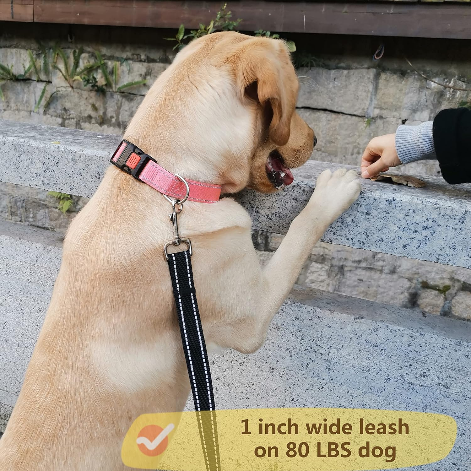 OEFEO Reflective Dog Leash for Large&Medium and Small Dogs, Strong and Durabl... - Picture 5 of 15