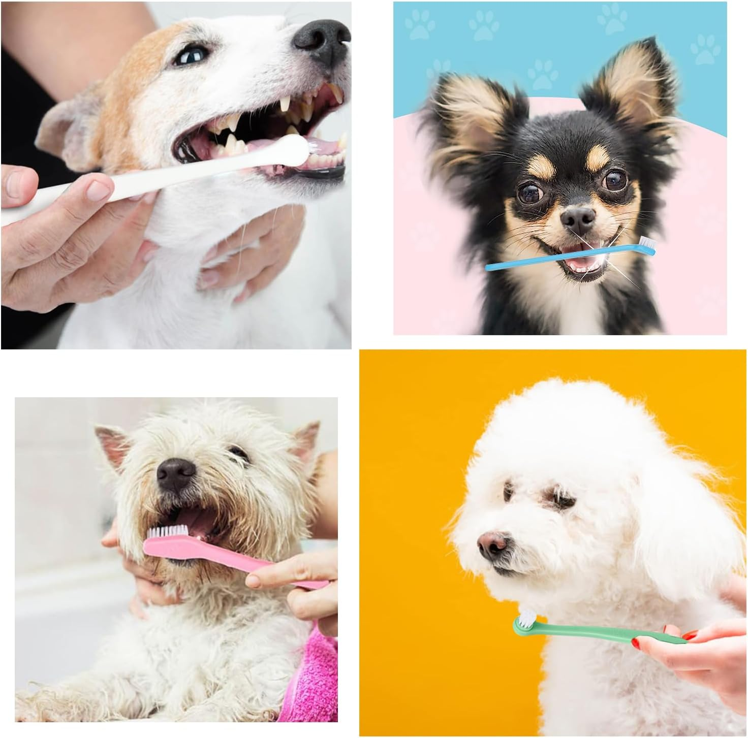 Yharnamite 4 Pcs Small Dog Toothbrushes, Cat Toothbrush, Mini Head Soft Brist... - Picture 8 of 14