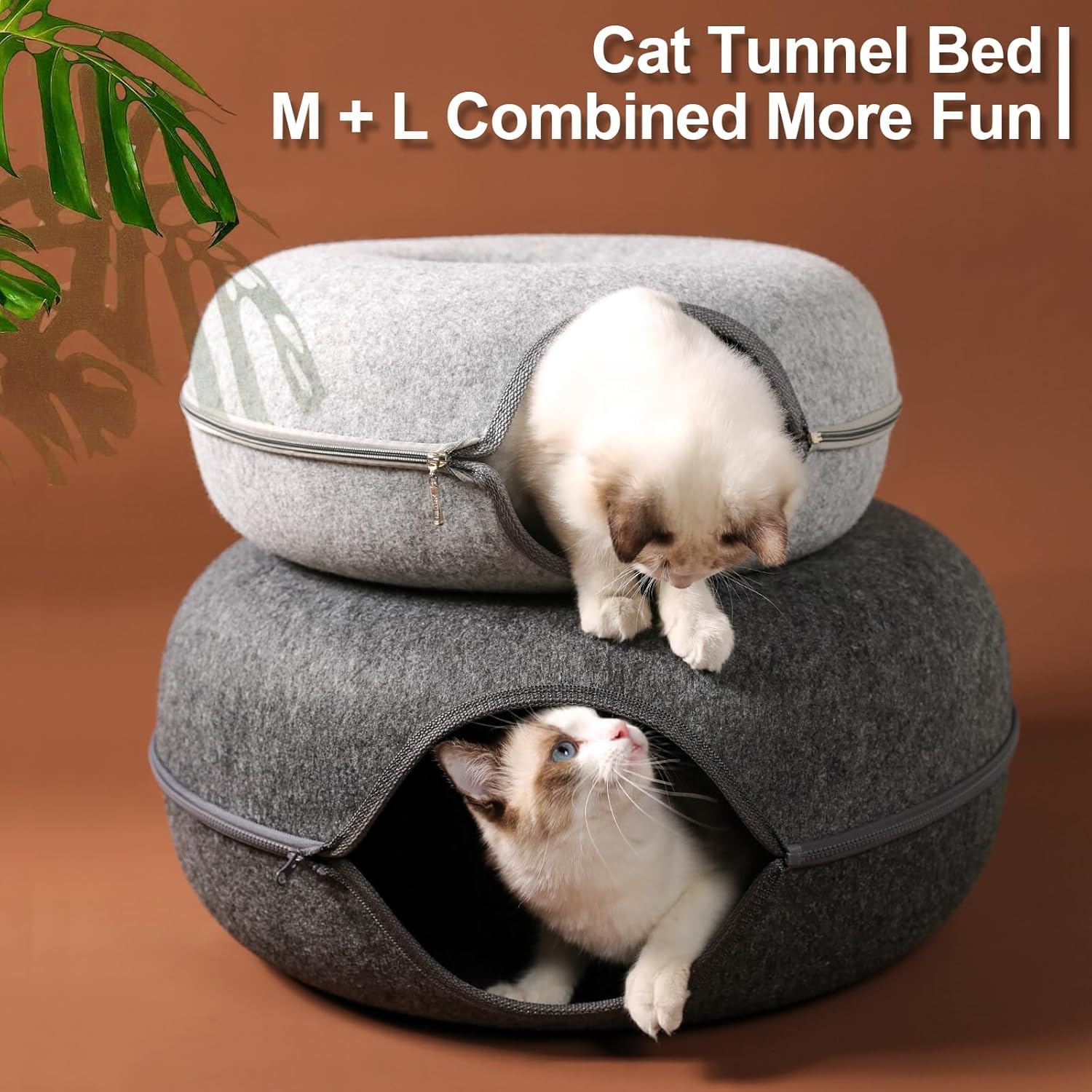 Bininl Cat Tunnel - Peekaboo Cave Bed for Indoor Pets, Donut-Shaped House Wit... - Picture 8 of 17