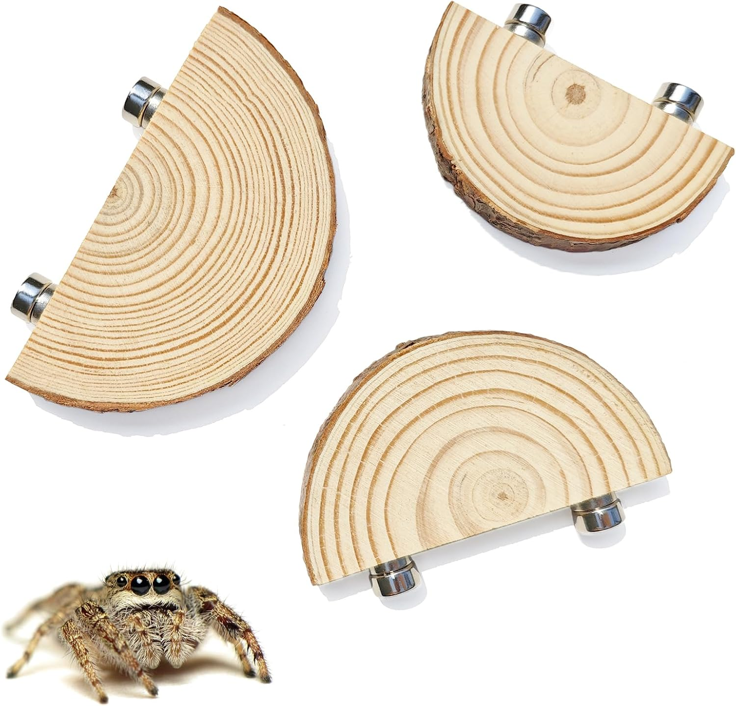 3 Pack Jumping Spider Enclosure Climbing Platforms, Magnetic Jumping Spider Wooden Ledge Ladder, Jumping Spider Accessories, Habitat Decor for Small Light Critters