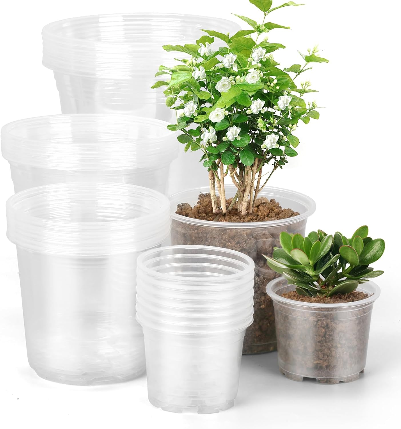 Clear Nursery Pots with Drainage, 28 Pack 4/5/6/7 Inch Clear Plastic Pots  for Pl | eBay