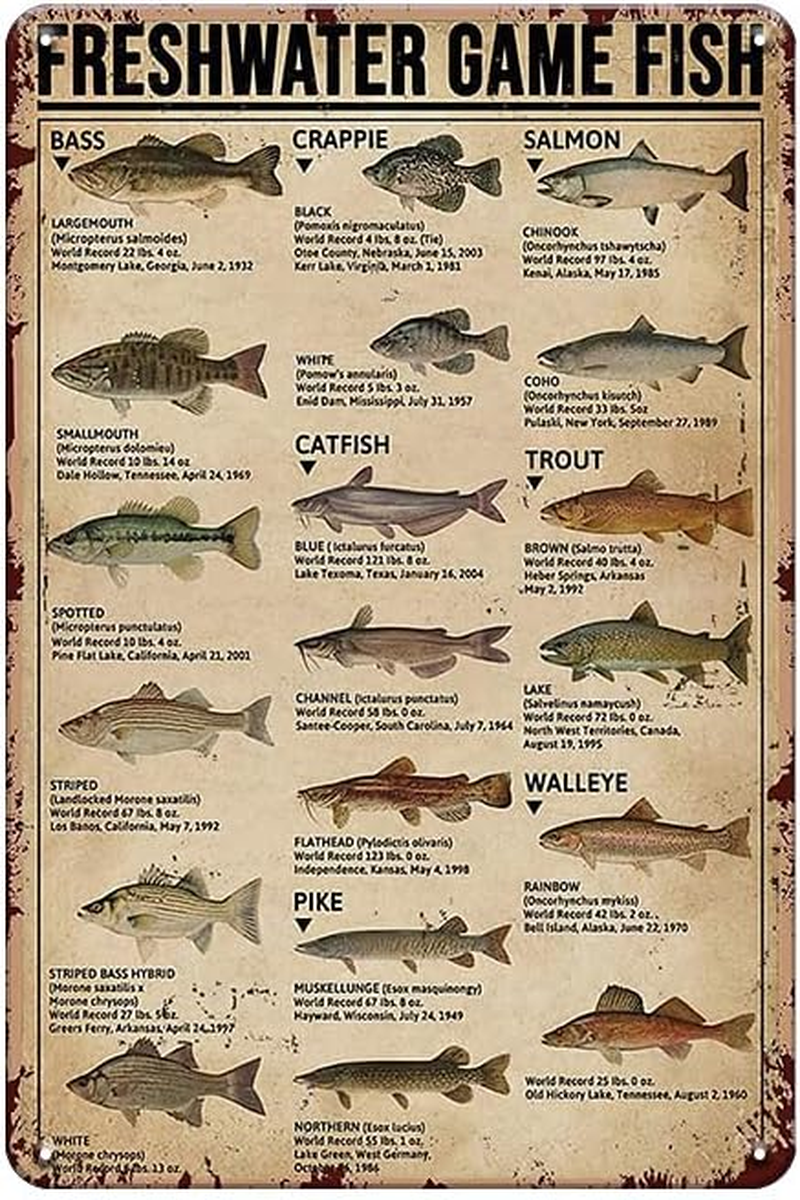 Vintage Fishing Wall Decor Sign - Freshwater Game Fish, Metal Rustic Cabin Lake House Hunting Tin Sign for Outside, Home, Room Wall Decor Accessories, Fishing Gifts for Men Boys, 8 X 12 Inch