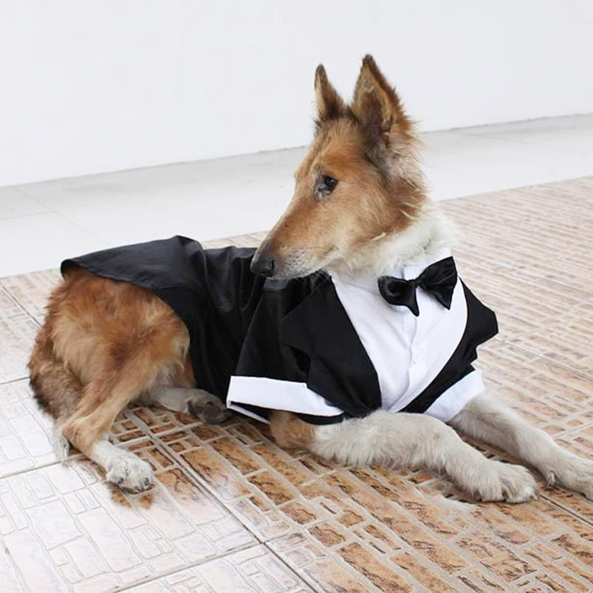 Dog Wedding Dress Costume Roleplay Costume Dog Shirt British Style Pet Dog We... - Picture 9 of 20