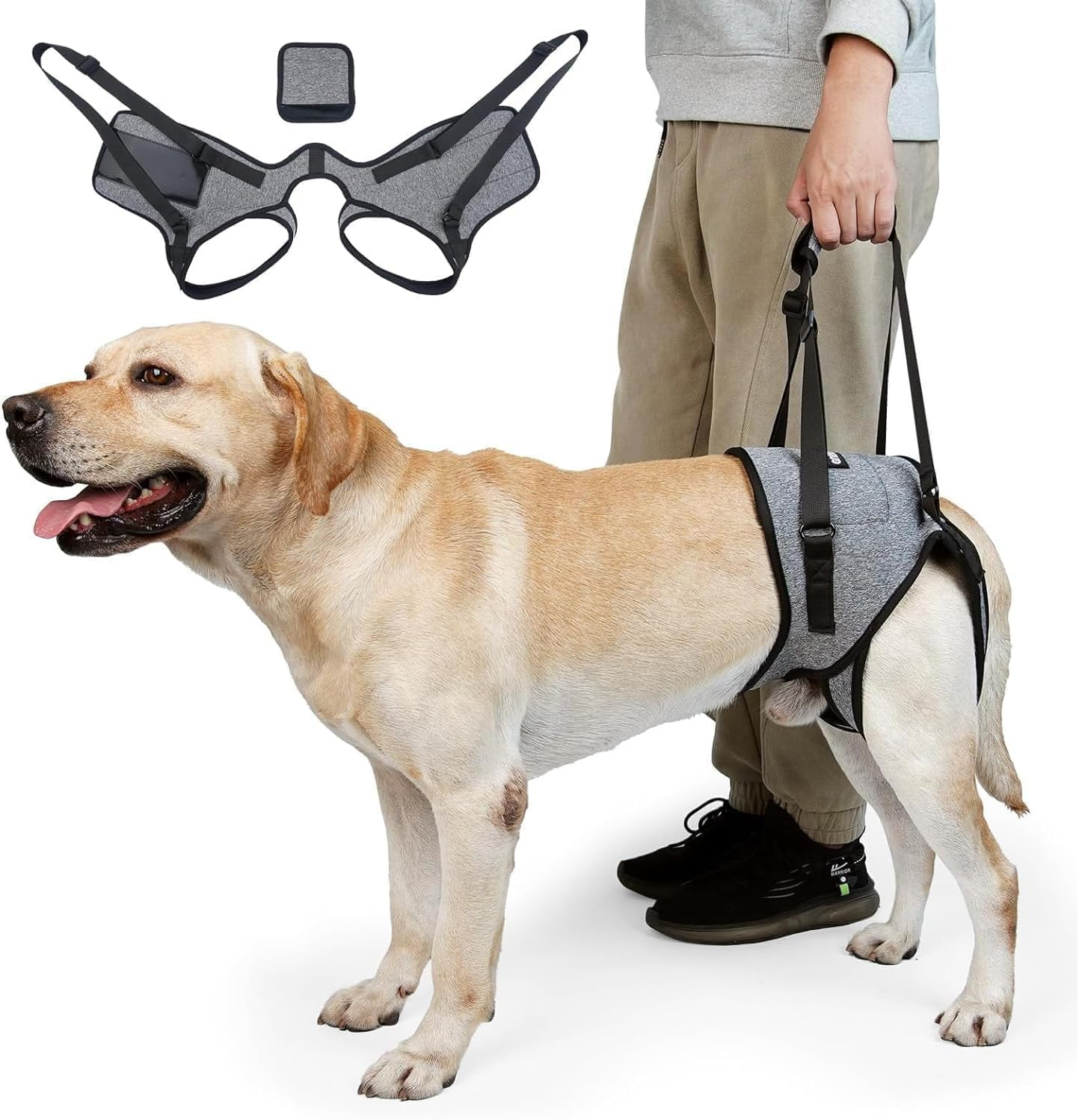 Dog Lift Harness, Dog Sling for Medium Large Dogs, Adjustable Dog Support Har... - Picture 2 of 14