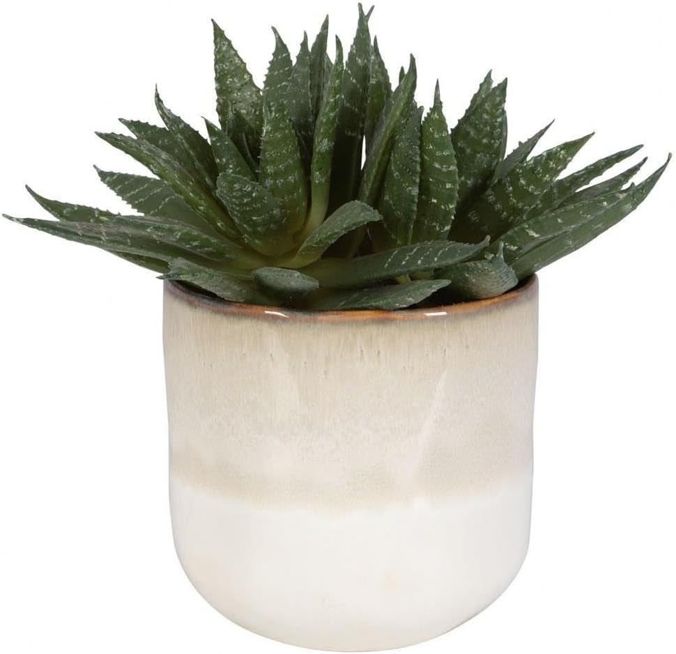 Doha Succulent Planter - 10.5