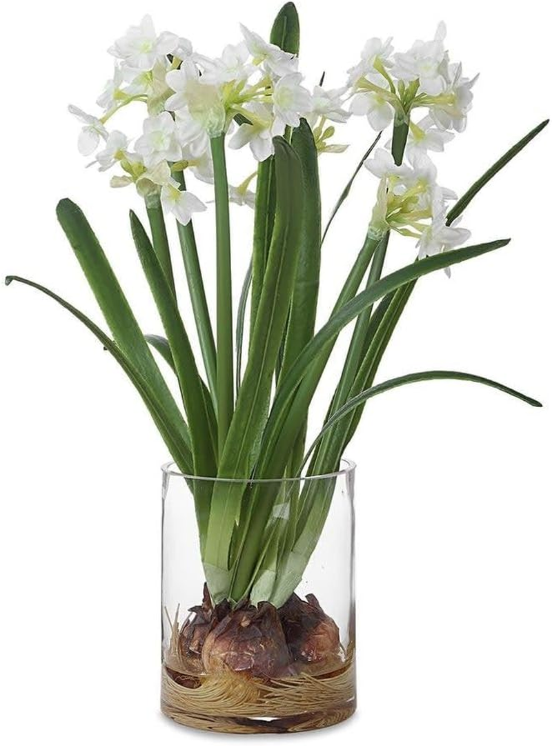 Lacey Daffodil Accent Arrangement - 17
