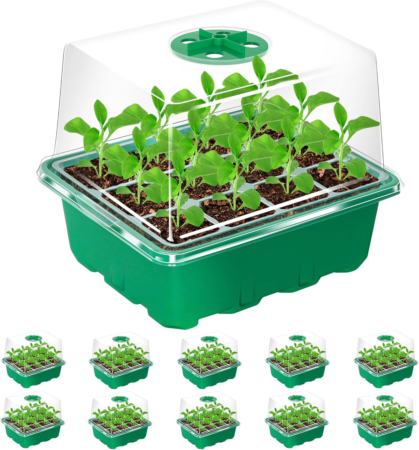 10 Packs Seed Starter Tray with Elevated Lid, 120 Cells Thicken Seed Starting Trays Kit with Adjustable Humidity Vent, Clear Cell Tray and Heightened Lids for Greenhouse & Gardens, Green