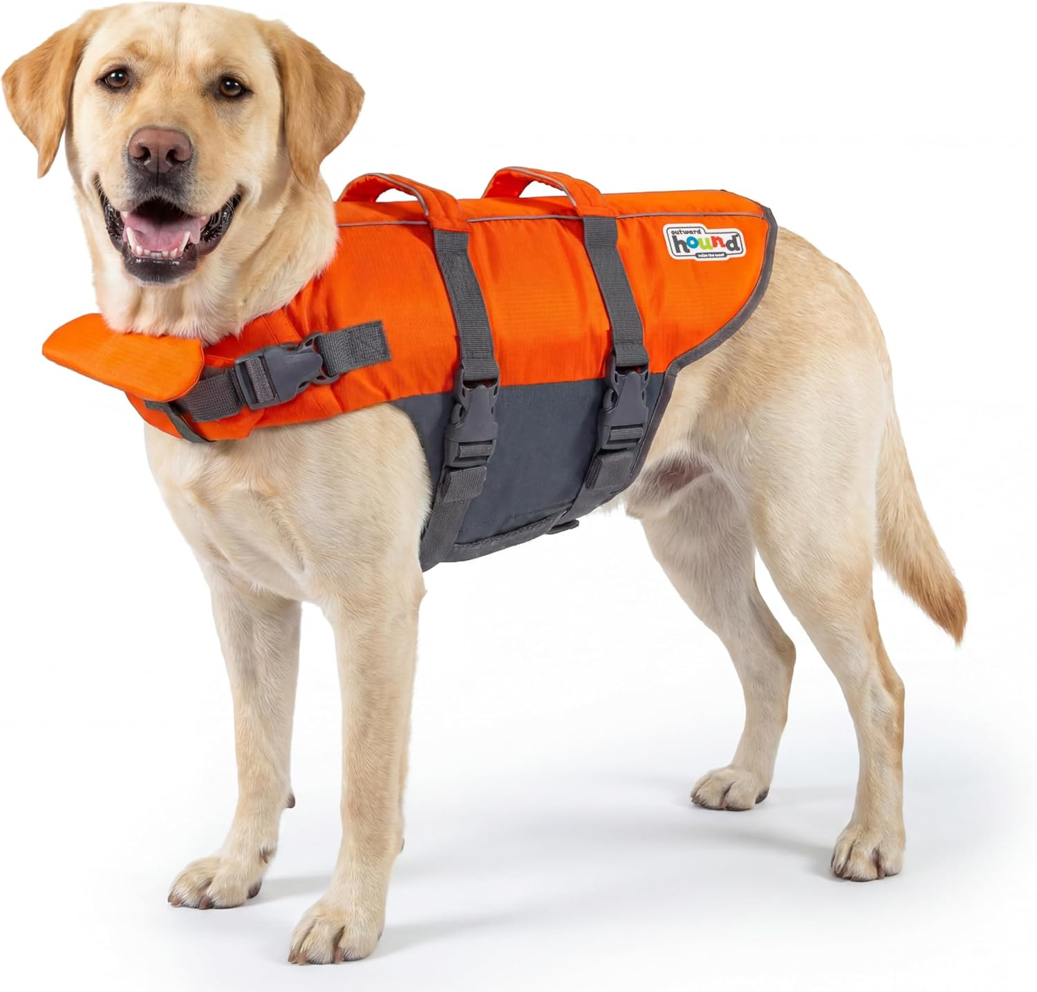 Granby Splash Orange Dog Life Jacket, Large