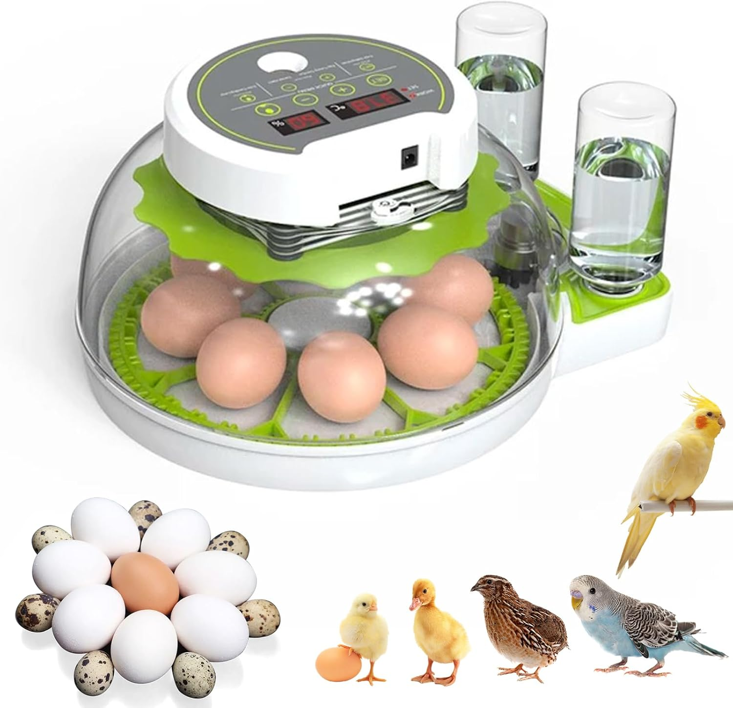 Egg Incubator, Egg Incubators with Automatic Turning and Humidity Control, 360° Viewing Window, Integrated Egg Candler, for Hatching Chicken Quail Duck Bird Eggs - 18/36 Eggs (8)