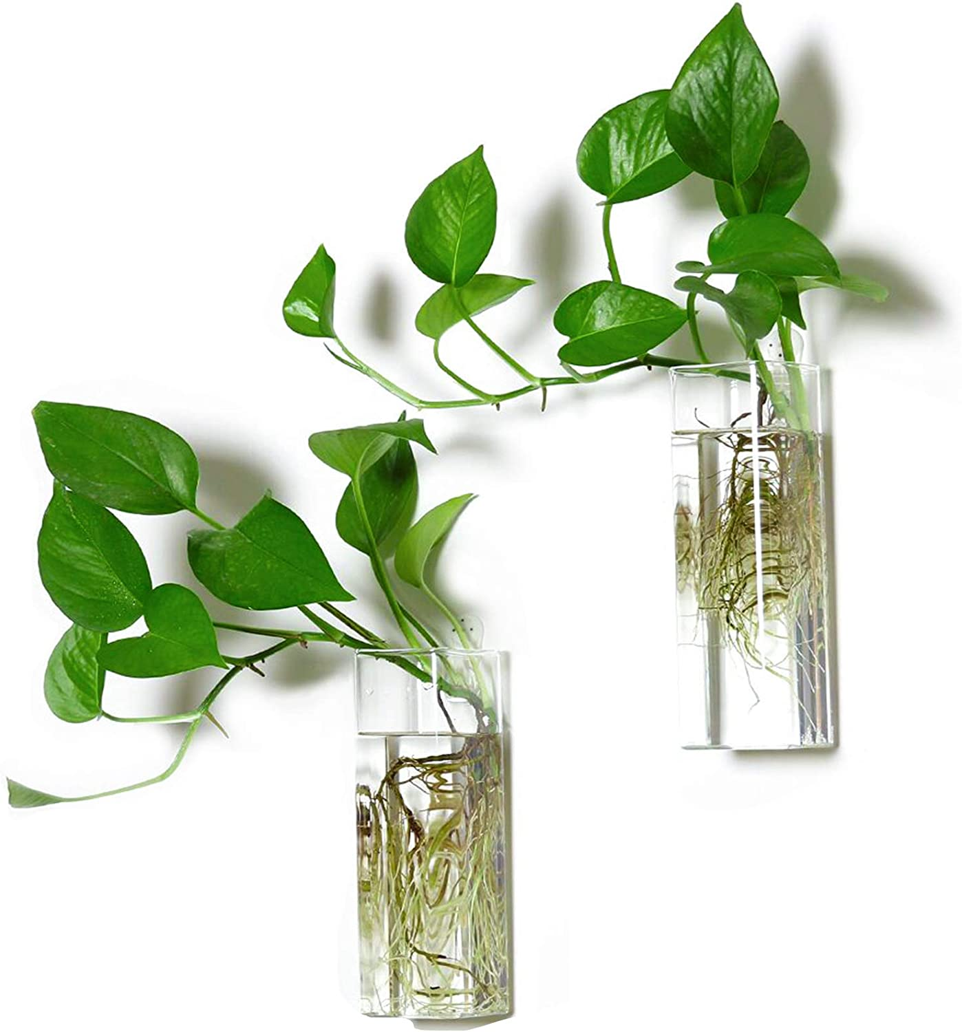 Plant Terrarium Container Propagation Station Square Tube Vase Wall Hanging Glass Planter Indoor Hydroponic Plants Home Office Garden Decor, 2 Pack