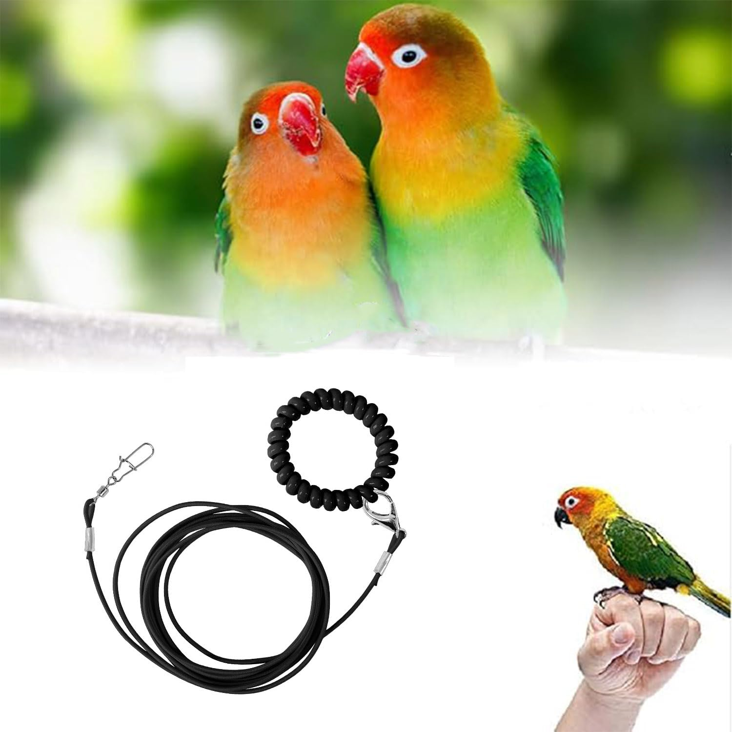 Roczential Bird Foot Chain Adjustable Bird Harness and Biting-Resistant Bird ... - Picture 8 of 15