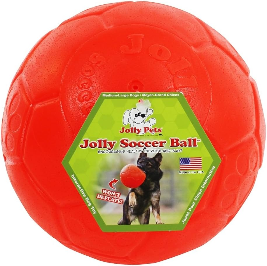 Jolly Soccer Ball Dog Toy 8In,All Breed Sizes
