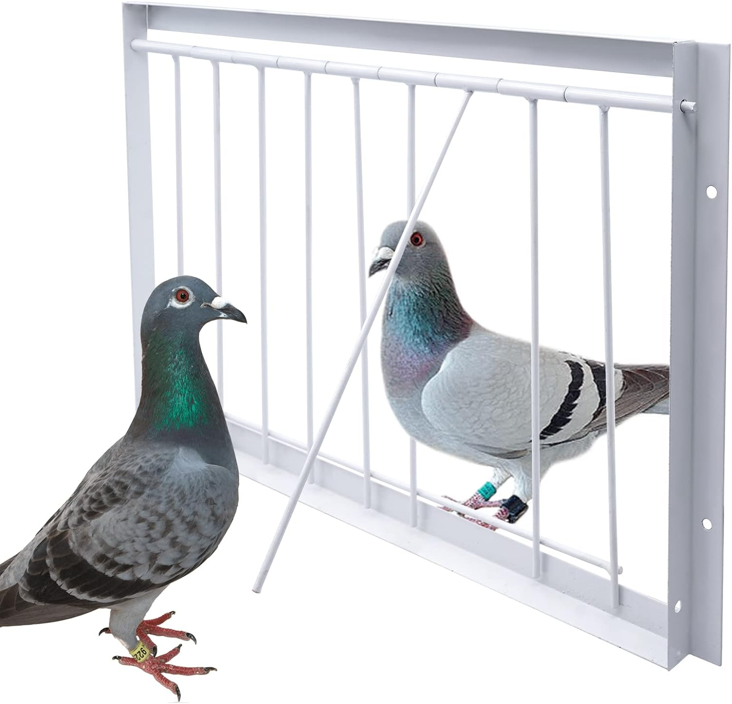 15.7In/40Cm Pigeon Cage Door One Way Entrance Door Bird T-Trap Birdcage Iron Wire Trap Door 