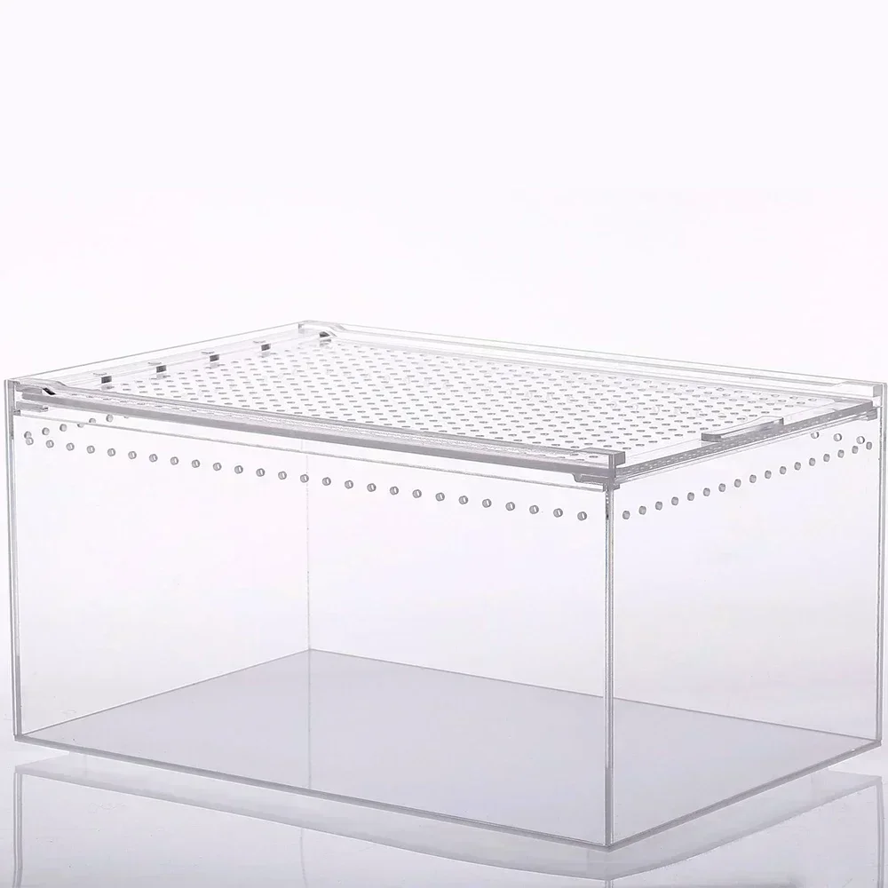 4 Sizes Reptile Breeding Box Transparent Acrylic Lizard Habitat Terrarium Breathable Feeding Box Suiable for Amphibians