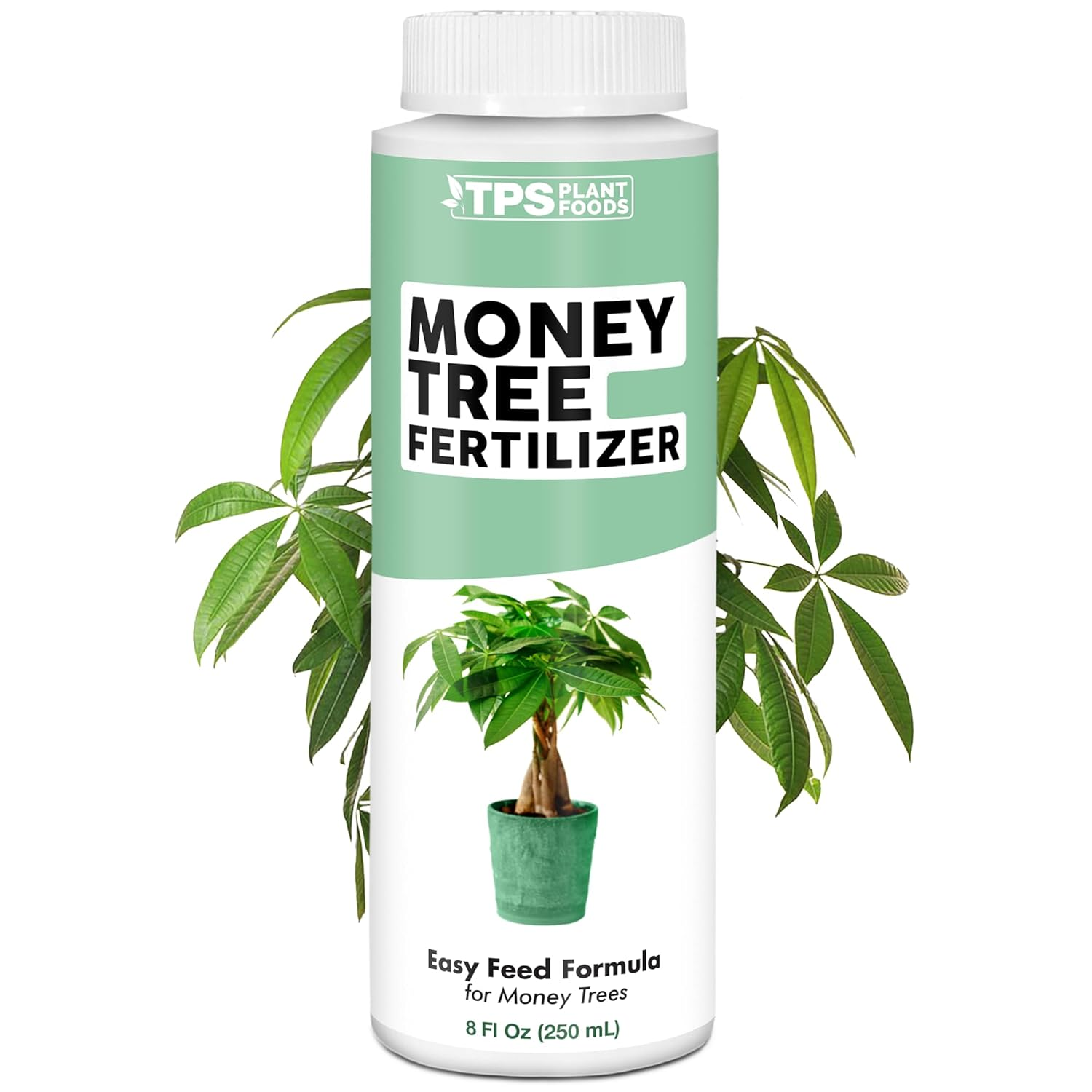 money tree customer service number Uttermost Pachira Money Tree
