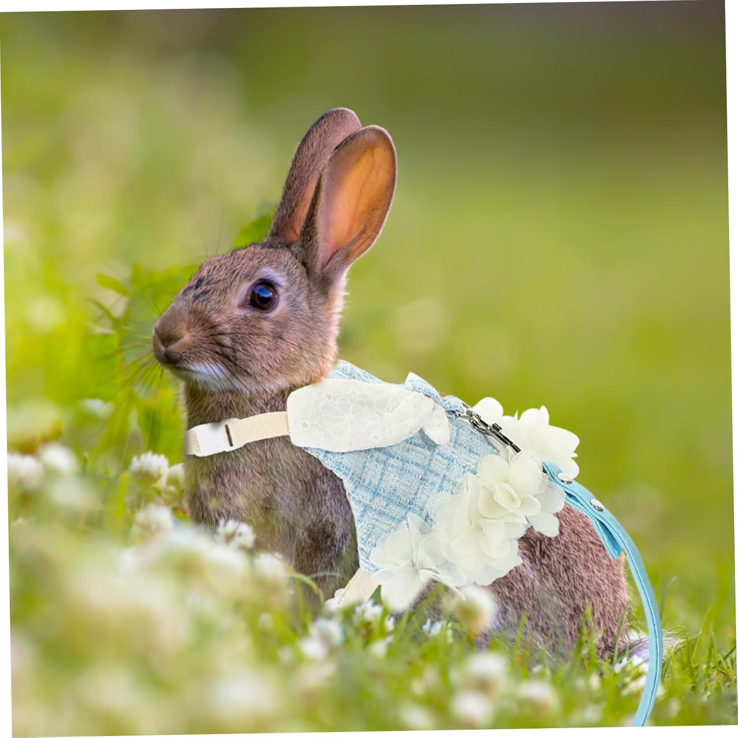 BESPORTBLE 1 Set Pet Rabbit Clothes Rabbit Harness with Leash Rabbit Costume ... - Picture 10 of 16