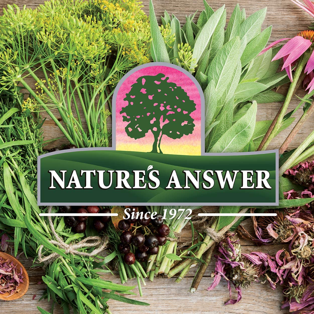 Nature's Answer Alcohol-Free Sambucus Supplement, Original, 16 Fluid Ounce - Picture 8 of 15