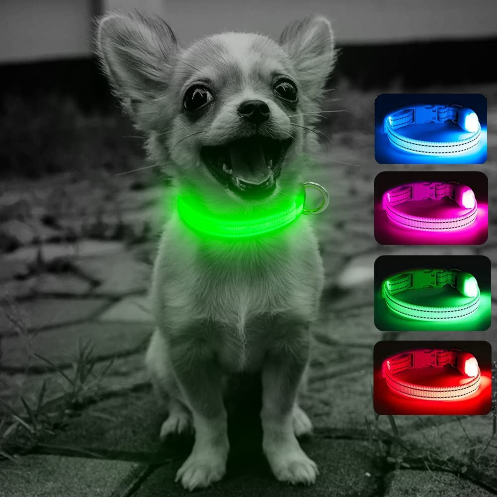 LED Dog Collar - USB Rechargeable, Reflective, Adjustable - XS, Green