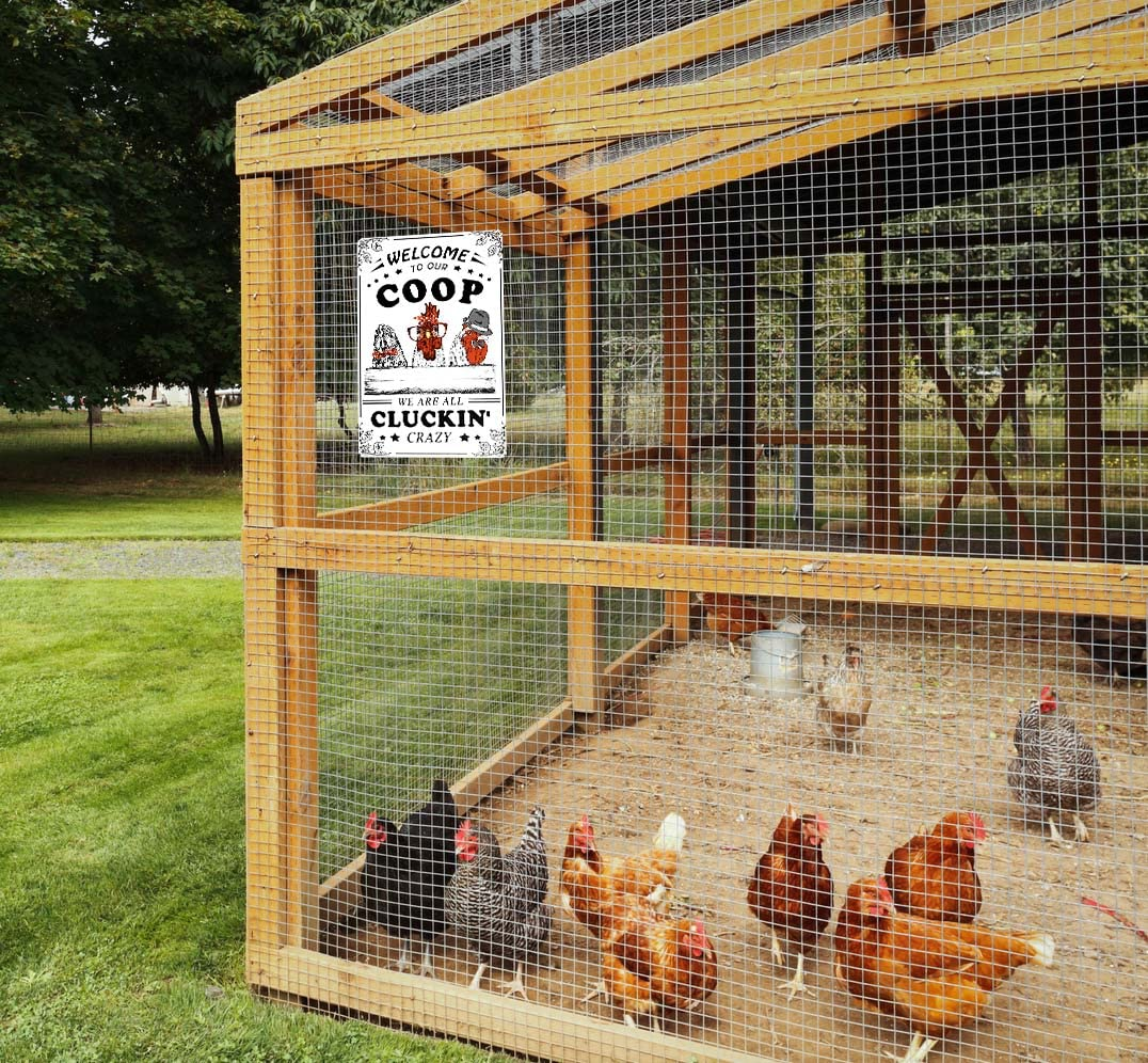 Welcome To Our Coop We Are All Cluckin Crazy Funny Chicken Sign Chicken Coop ... - Picture 5 of 17