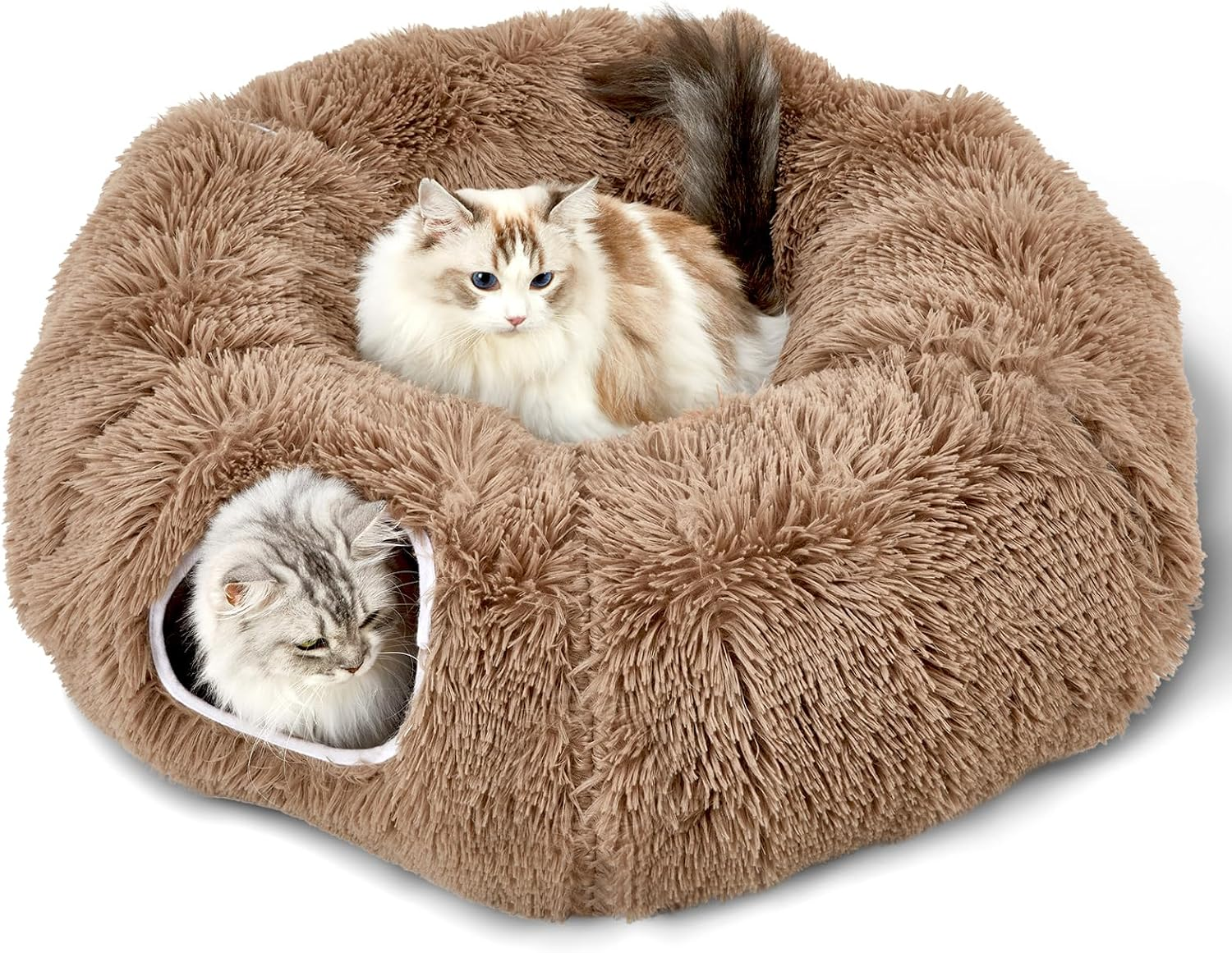 Bininl Cat Tunnel - Peekaboo Cave Bed for Indoor Pets, Donut-Shaped House Wit... - Picture 17 of 17