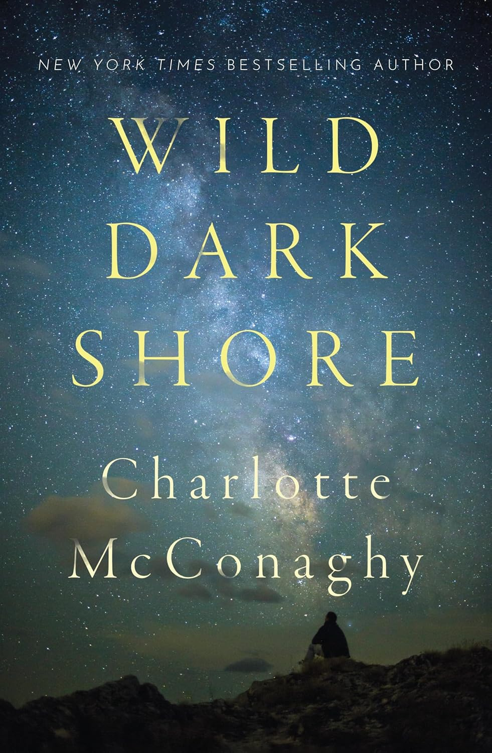 Wild Dark Shore - Picture 2 of 14