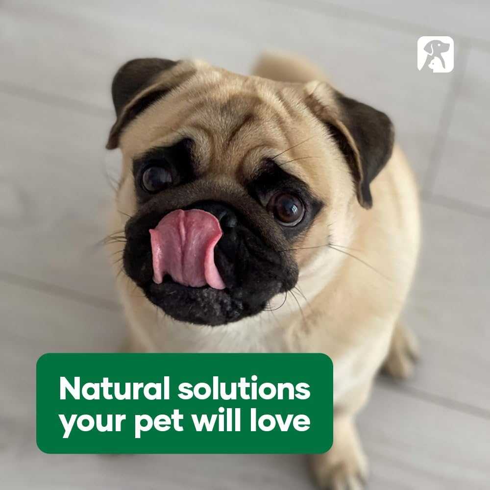 Natural Animal Solutions Omega Oil for Dogs and Cats. Omega 3, 6 & 9 Fish Oil... - Picture 9 of 12