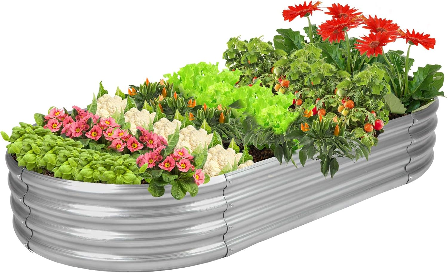 Raised Garden Bed GRS Certified Galvanized Planter Box Outdoor, 5Ft Oval Rot-Resistant Metal Garden Bed Planter, Recycled Eco-Friendly Material Planter for Vegetables Flowers Herbs (Silver)