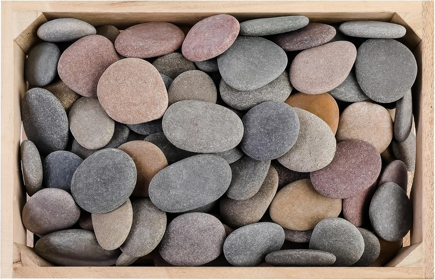 100 PCS Large 2.15-3.35