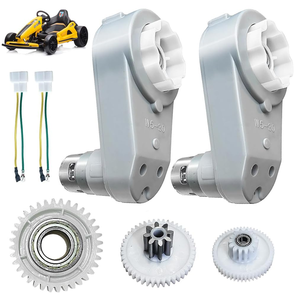 2-Pack 24V RS775 Motor Gearbox