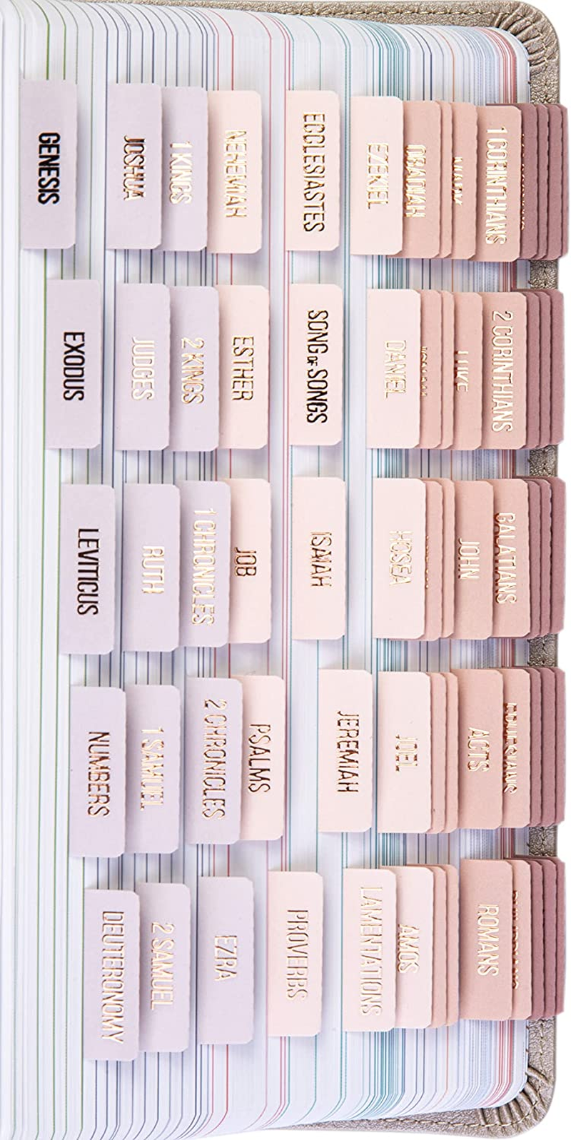 Laminated Bible Tabs with Rose Gold Embossed Lettering and Blank Tabs