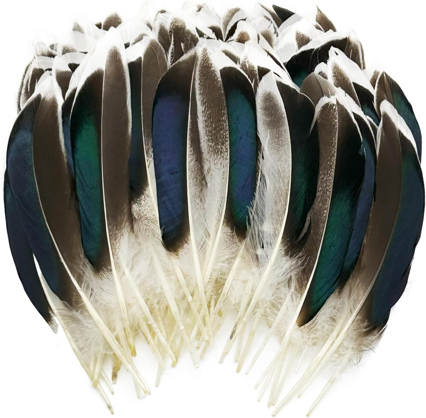 200Pcs Duck Feathers Natural Spotted Feathers Wild Turkey Feather for Crafts Hats Accessories Jewelry DIY Wedding Party Decorations (4-6Inch)