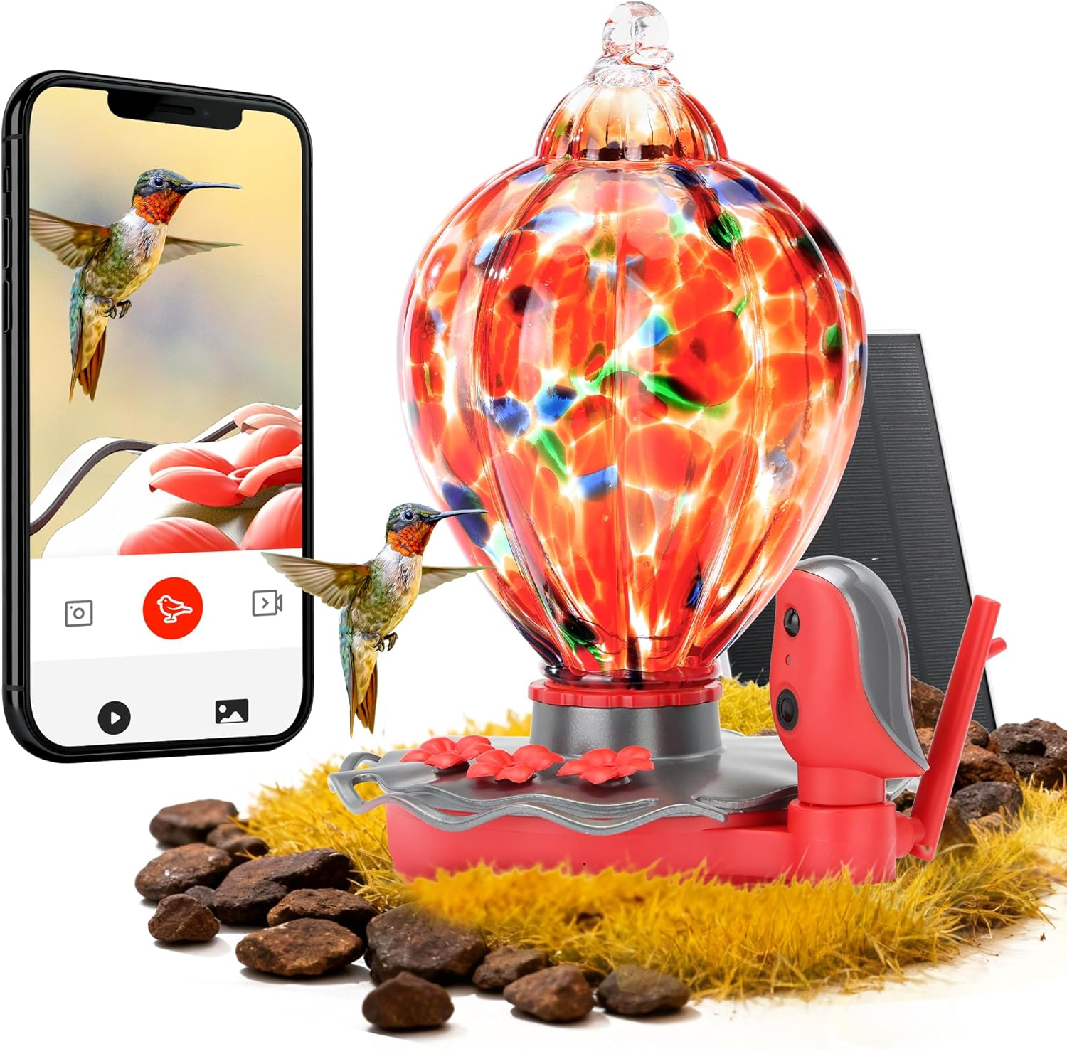 Smart Glass Hummingbird Feeder with Camera Solar Powered 2K- AI