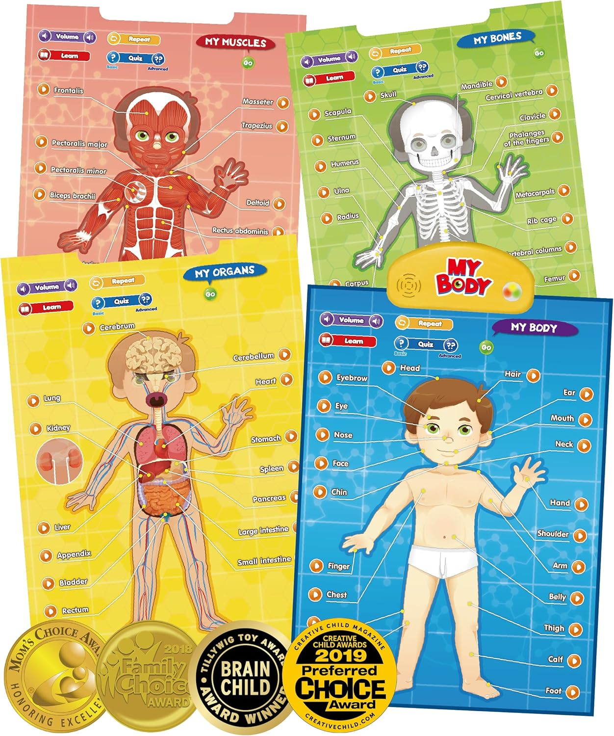 I-Poster My Body - Interactive Educational Human Anatomy Talking Game Toy | Learn Body Parts, Organs, Muscles and Bones for Kids Aged 5 to 12 Years Old