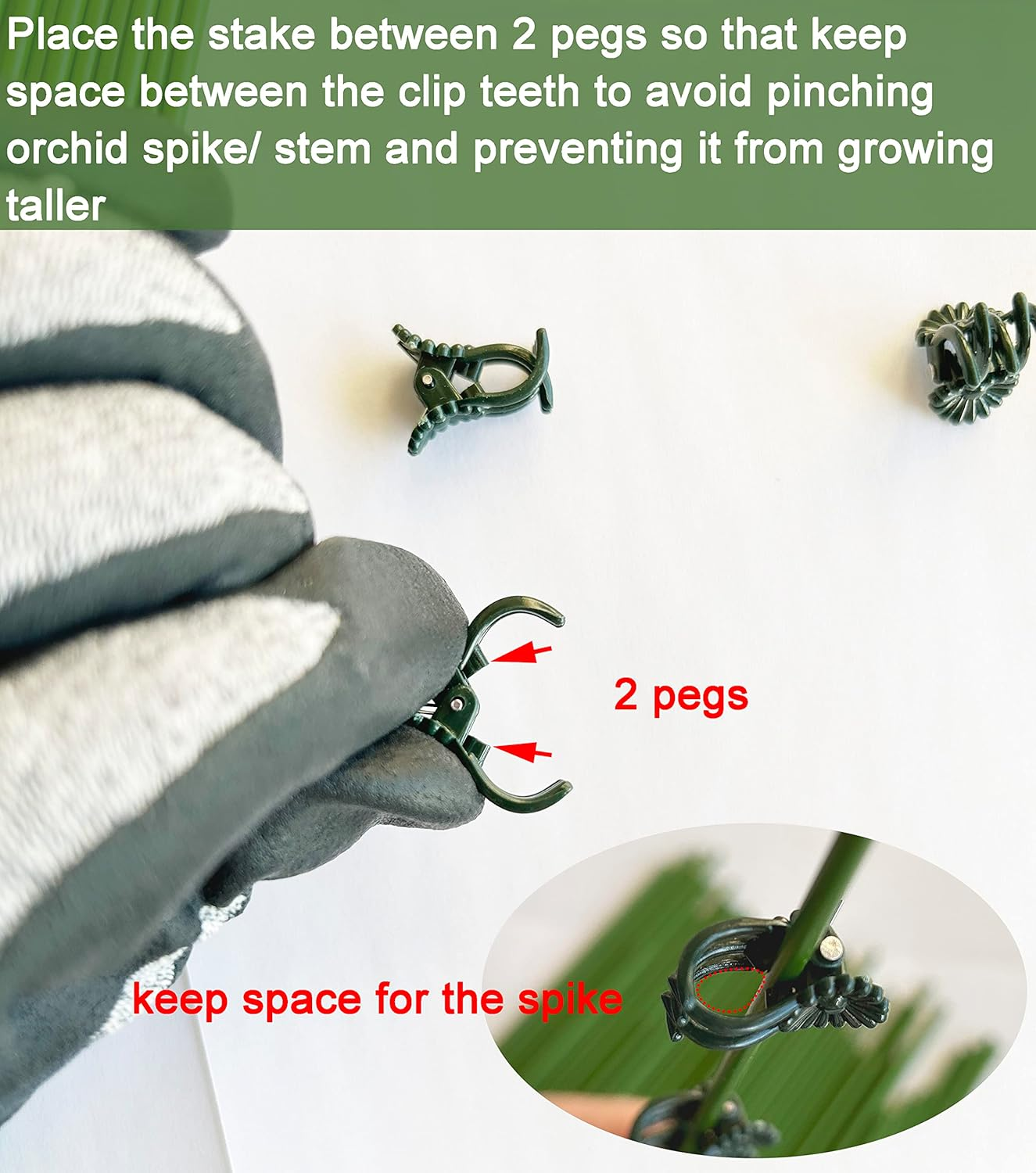 EESC2Y 40-PCs Orchid Clips for Plants Support - Dark Green, for Small - Middl... - Picture 4 of 13