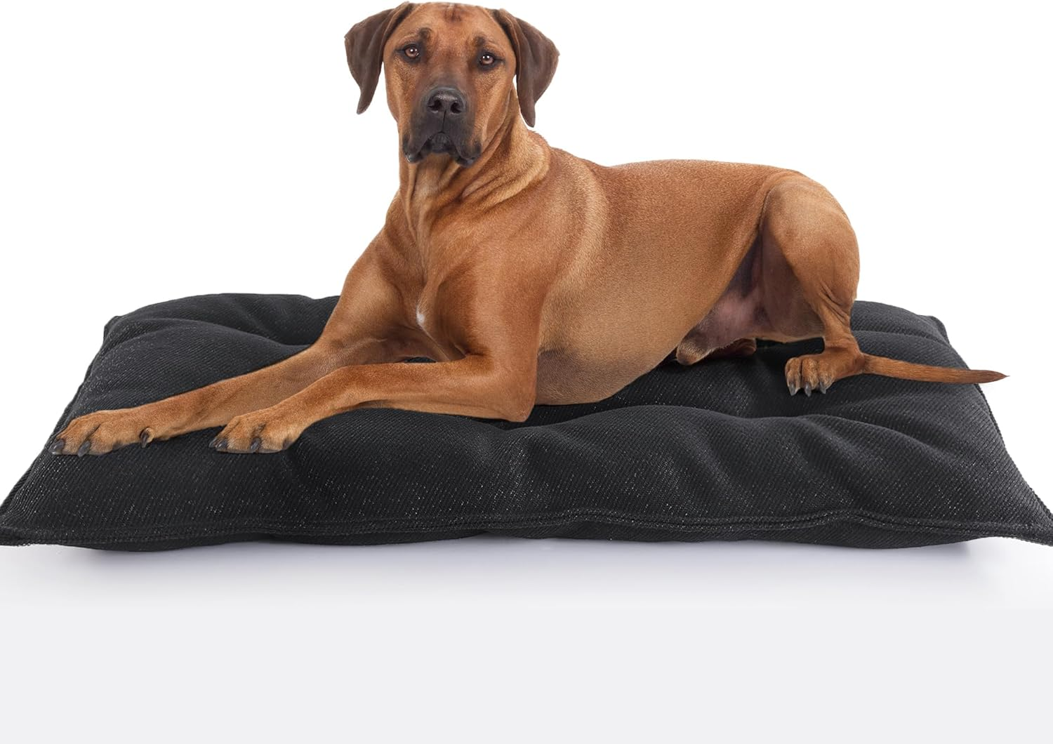MABOZOO Chew Proof Indestructible Dog Beds for Aggressive Chewers,Durable Dog Crate Pad,Washable Tough Pet Mats for Kennel,Black,Small 17X23 In