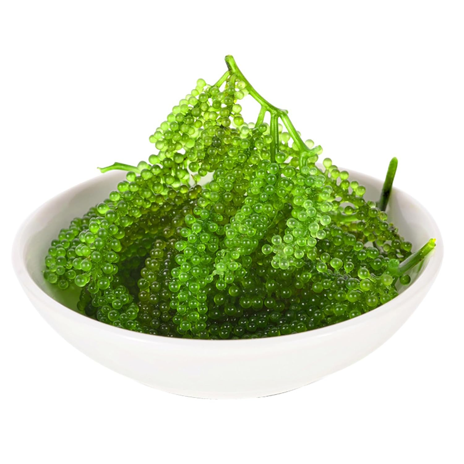 Seaweed Salad (Sea Grapes) Premium Salted Sea Grapes, Dehydrated Japanese Umibudo Seaweed, Lato Seaweed Snacks from Ocean, for Salads Sushi with Dipping Sauces Mustard Soy Sauce (7.05 Oz of 2 Packs)