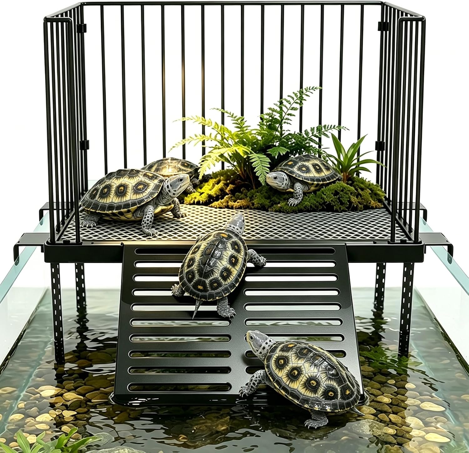 Turtle Basking Platform with Ramp, for 25-75 Gal Tank | Sliding Hooks Adjust Water Depth Easily. Fits 15-17 Inch Rim. Rust-Proof SS, Non-Slip Ramp for Safe Climbing.