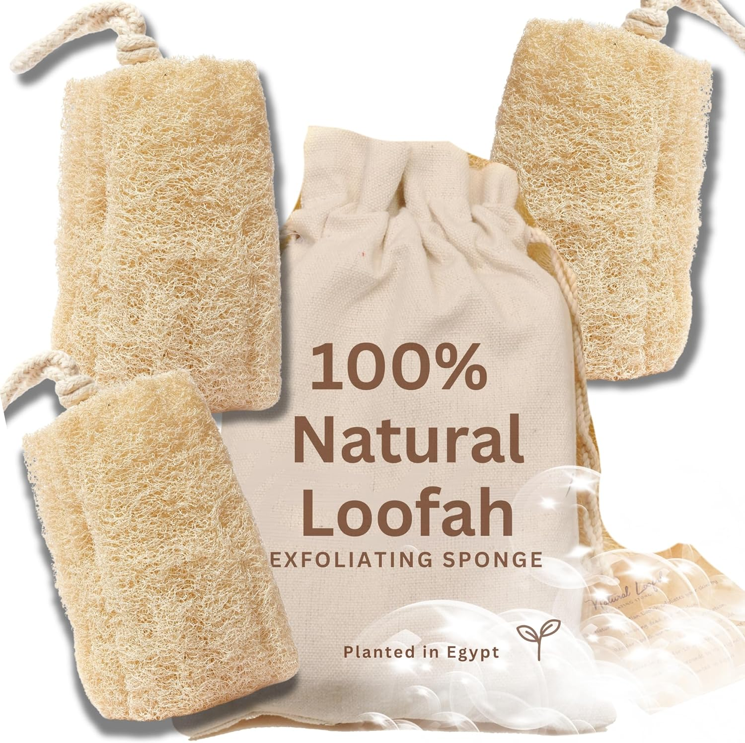 All Natural Loofah Sponge, Pack of 3 Real Egyptian Bath & Shower Exfoliating Loofa Scrubber Sponges for Face, Back & Body, Eco Friendly, No Toxic Chemicals, 6