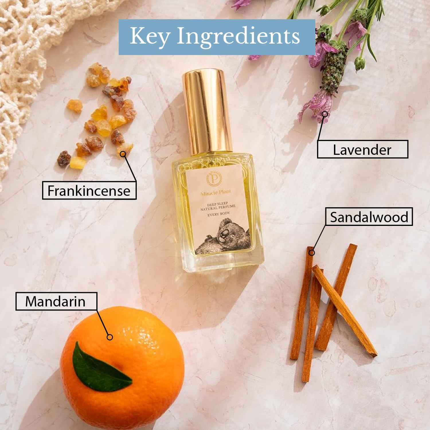 Miracle Plant - Deep Sleep Natural Perfume - 90% Fall Asleep Faster, Australi... - Picture 8 of 13