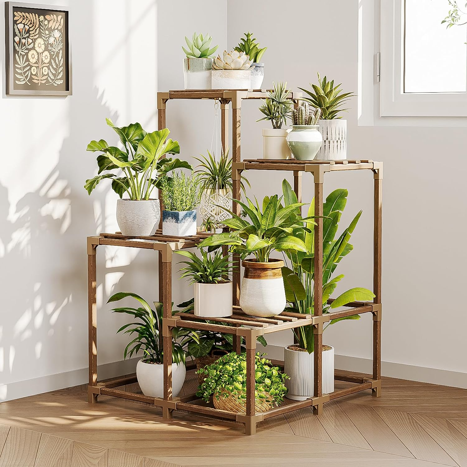 money plant purchase Money Tree Plant with Planter - Small (12