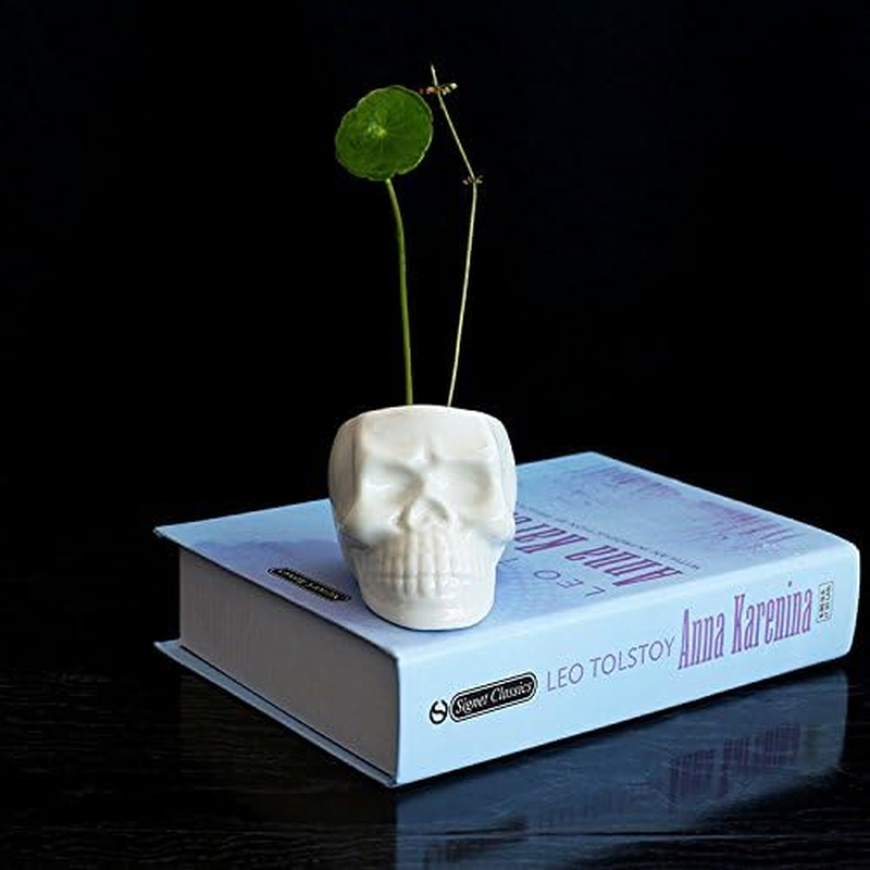 Wish you have a nice day Set of 2 Modern Skull White Ceramic Succulent Plante... - Picture 3 of 14