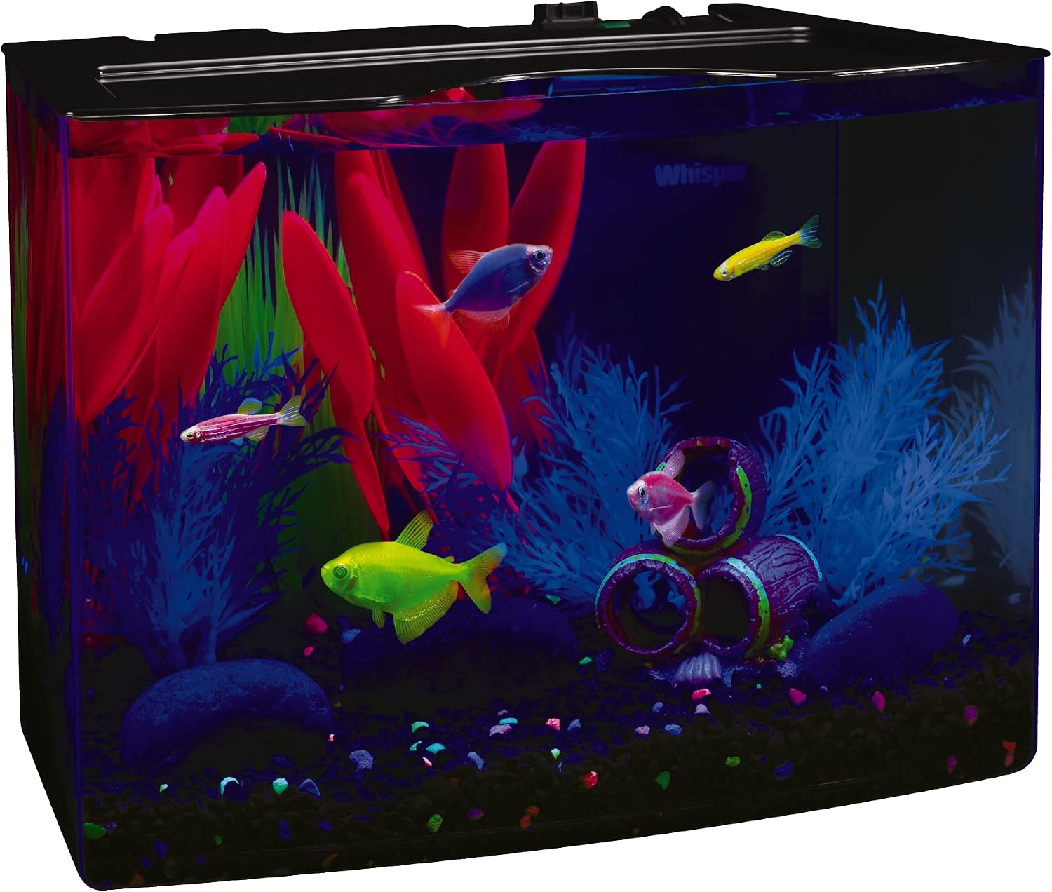 Crescent Aquarium Kit 3 Gallons, Includes Hidden Blue LED Light and Internal Filter