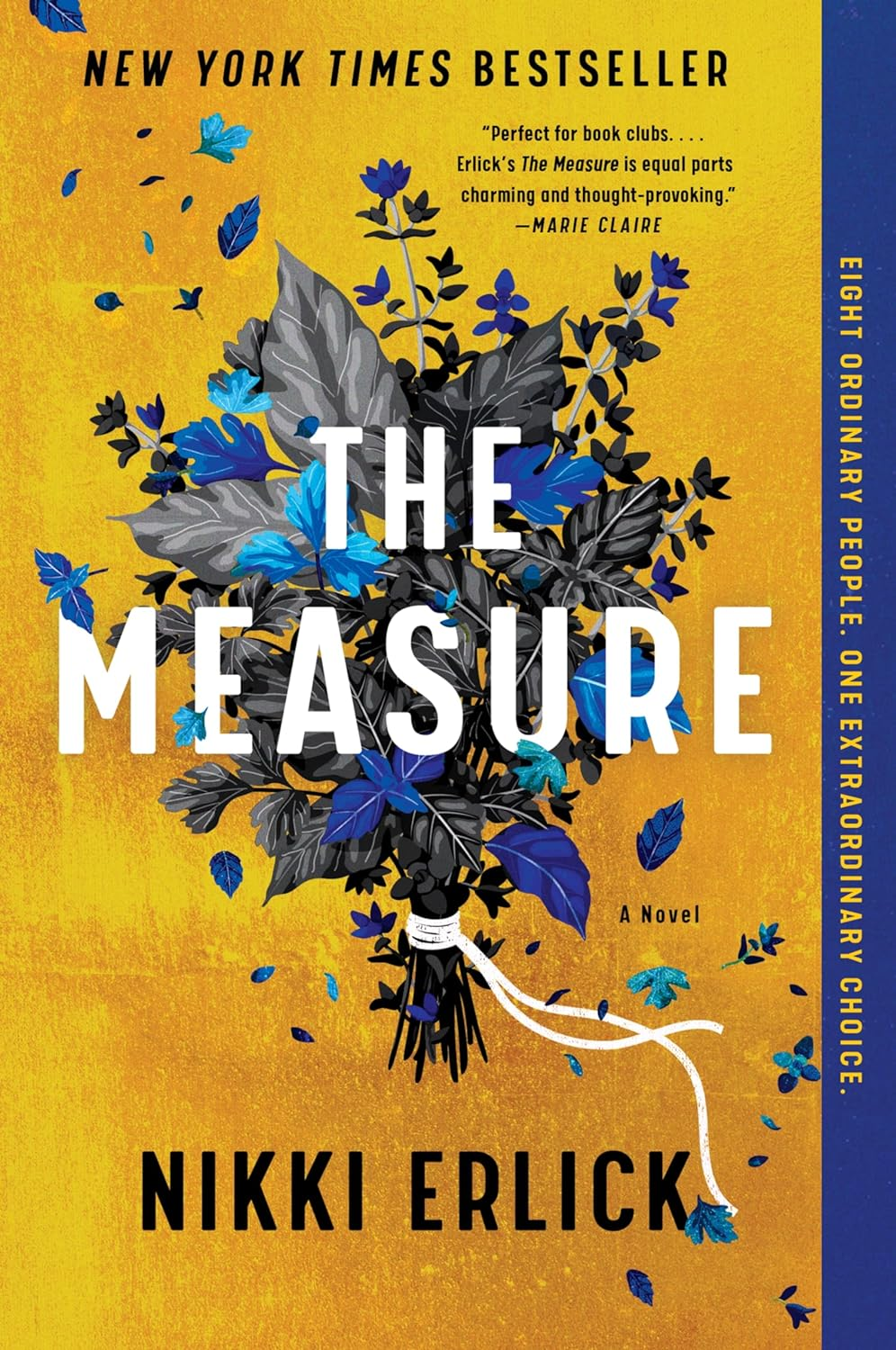 The Measure: a Novel